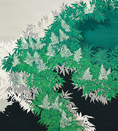 【作品写真】緑光の花譜